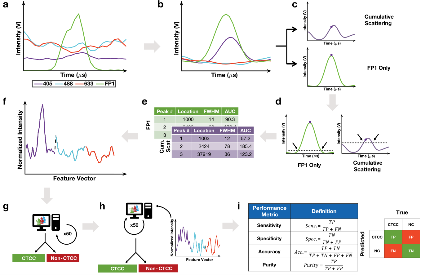 Flow-cytometry and machine-learning workflow for circulating tumor cell clusters